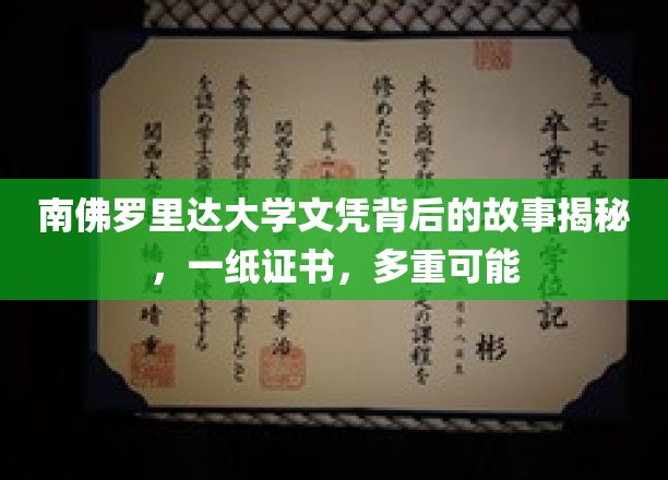 探索南佛罗里达大学文凭背后的神秘世界，一纸证书，无限未来