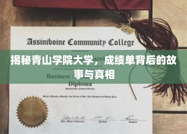 揭秘青山学院大学，成绩单背后的故事与真相