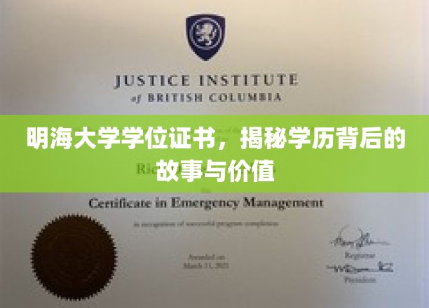 明海大学证书背后的传奇，探寻学历的深层价值与故事