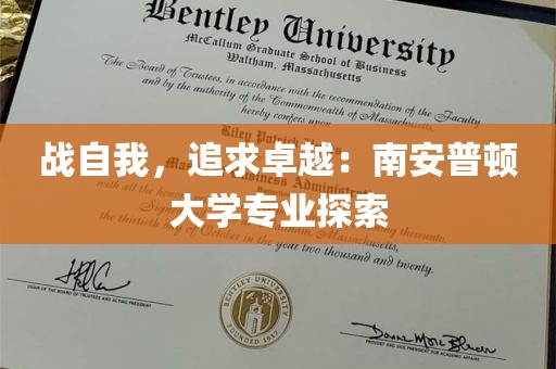 战自我，追求卓越：南安普顿大学专业探索