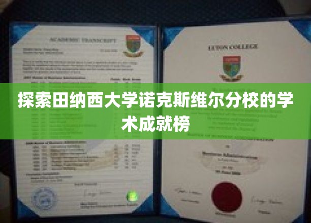 田纳西大学诺克斯维尔分校，揭秘学术巅峰的璀璨星辉