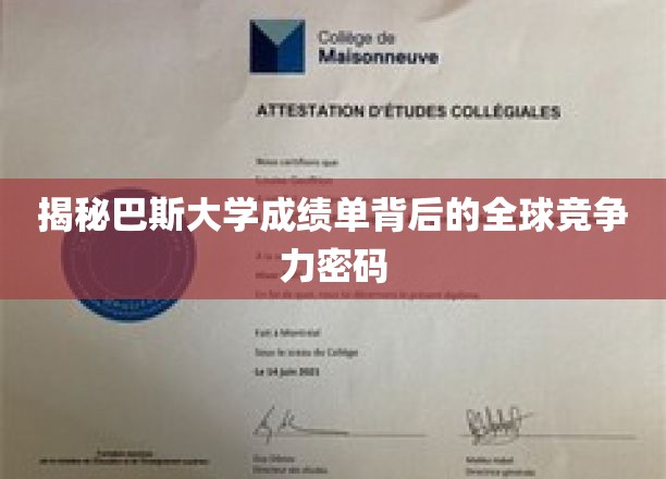 巴斯大学成绩单解码，揭秘全球竞争力的秘密钥匙