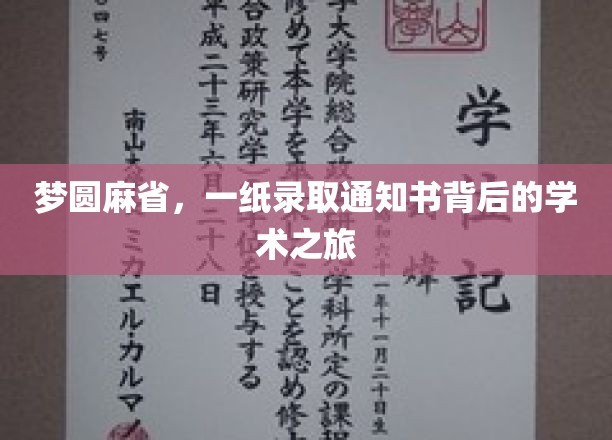 梦圆麻省，一纸录取通知书背后的学术之旅