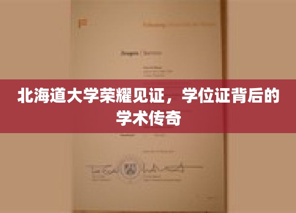北海道学位荣耀绽放，揭秘学术殿堂背后的传奇故事
