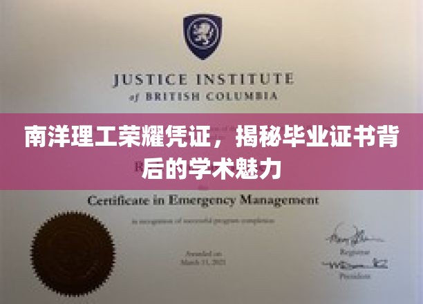 南洋理工荣耀凭证，揭秘毕业证书背后的学术魅力