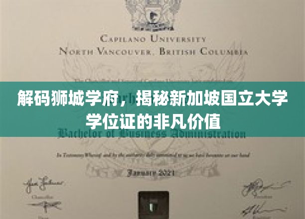 解码狮城学府，揭秘新加坡国立大学学位证的非凡价值