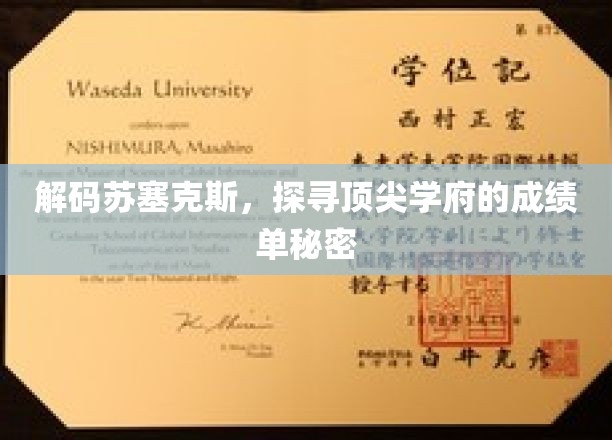 揭秘苏塞克斯大学，揭秘顶尖学府的卓越成绩背后