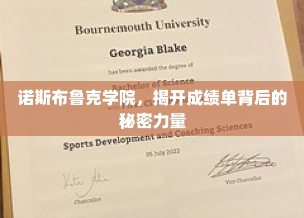 揭开诺斯布鲁克学院成绩单背后的神秘魔力