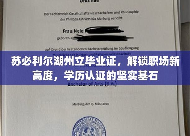 苏必利尔湖州立毕业证，解锁职场新高度，学历认证的坚实基石