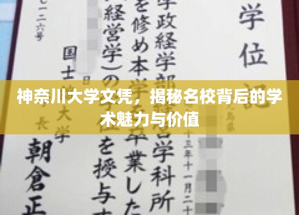 名校文凭背后的魅力，神奈川大学的教育启示与价值解析