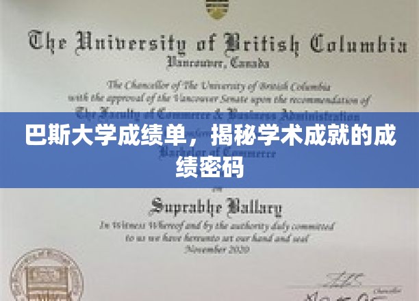解锁巴斯大学成绩单，解码学术卓越的神秘符号