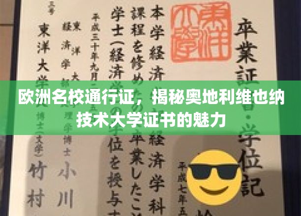 欧洲精英学府通行证，维也纳技术大学证书的独特魅力探秘