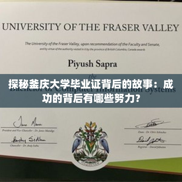 探秘釜庆大学毕业证背后的故事：成功的背后有哪些努力？