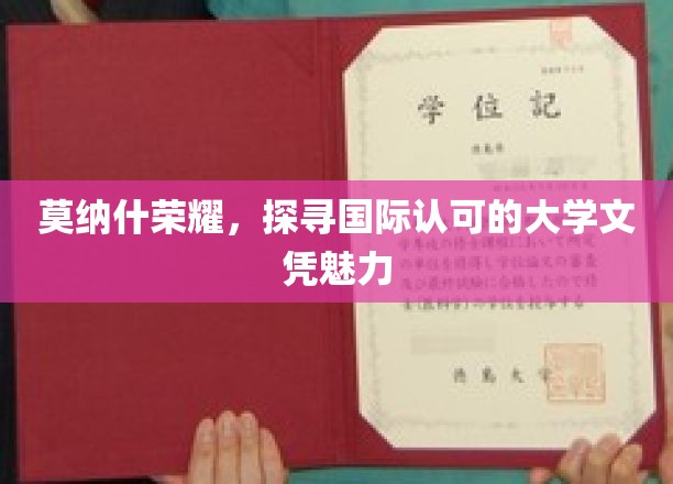 莫纳什盛誉揭秘，全球认可的学位魅力之旅