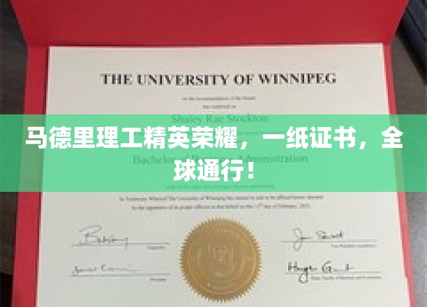 马德里理工骄子名片，国际认可证书闪耀全球舞台