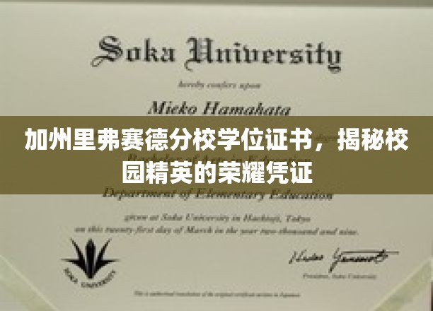 加州里弗赛德分校学位证书，揭秘校园精英的荣耀凭证