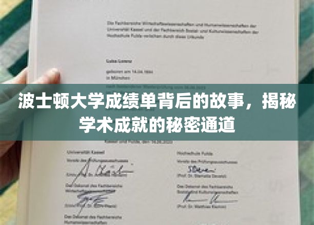 波士顿大学成绩单背后的神秘之门，探寻学术成功的隐秘路径
