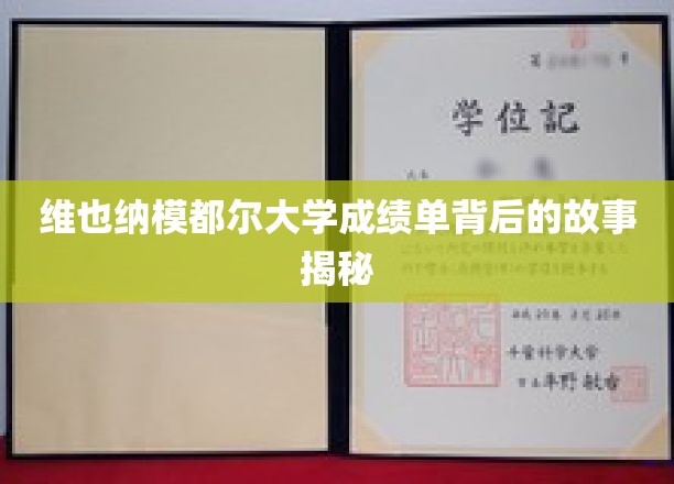 揭开维也纳模都尔大学成绩单背后的神秘面纱