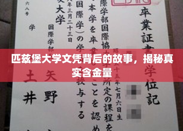 揭开匹兹堡大学文凭的神秘面纱，探究其真实价值与影响力