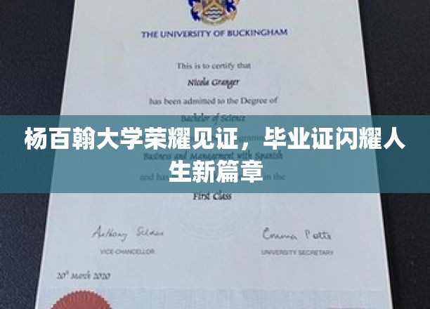 杨百翰大学荣耀见证，毕业证闪耀人生新篇章