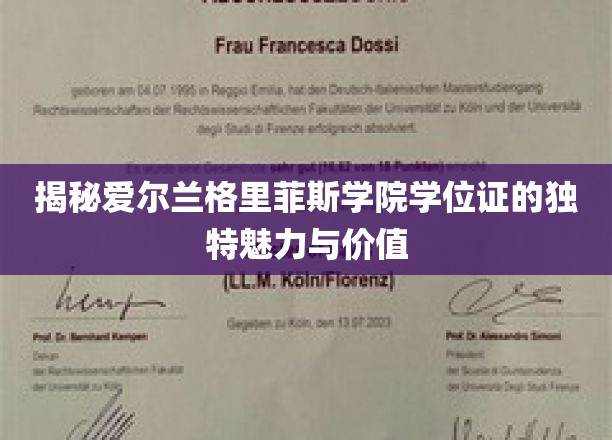 揭秘爱尔兰格里菲斯学院学位证的独特魅力与价值