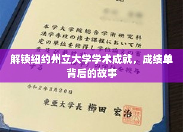 探寻纽约州立大学卓越成就，揭开成绩单背后的传奇篇章