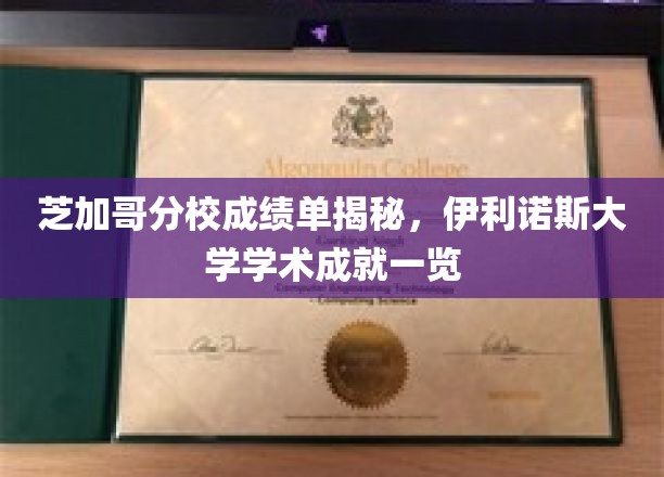 芝加哥分校成绩单解析，伊利诺伊大学学术成就扫描