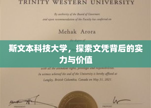 斯文实力，文凭价值，斯文本科技大学深度解读