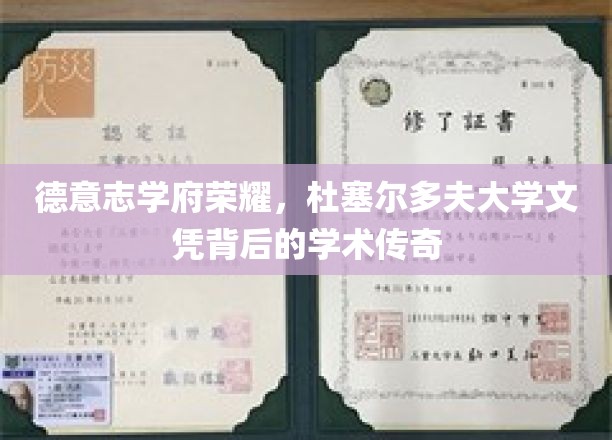 德意志智慧之光，杜塞尔多夫大学文凭映照下的学术辉煌之旅