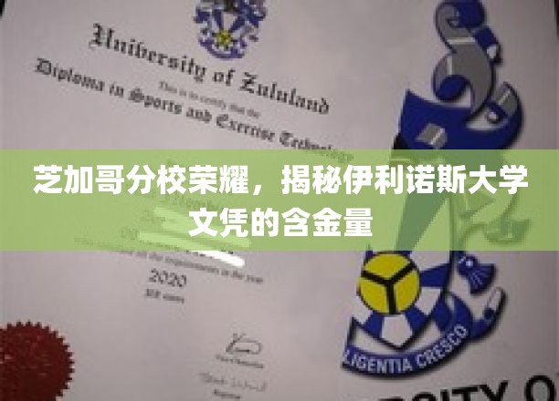 芝加哥分校荣耀，揭秘伊利诺斯大学文凭的含金量