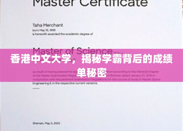 解码香港中文大学学霸高分背后的神秘攻略