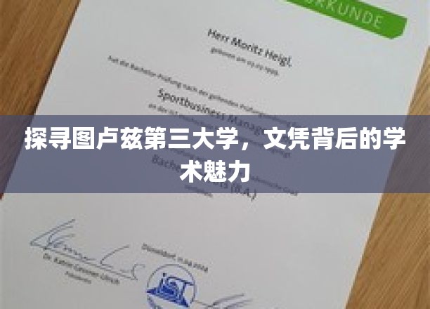 解码图卢兹第三大学，文凭背后的学术瑰宝