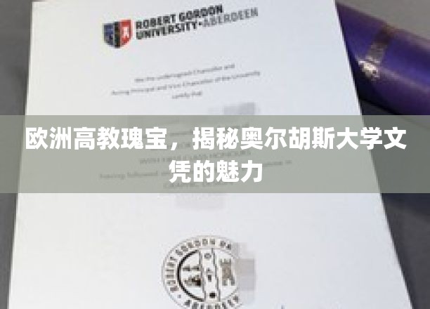 探索丹麦瑰宝，奥尔胡斯大学文凭的非凡吸引力