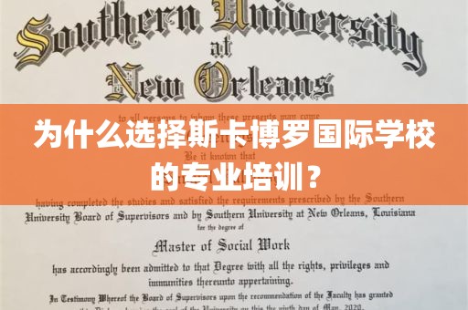 为什么选择斯卡博罗国际学校的专业培训？