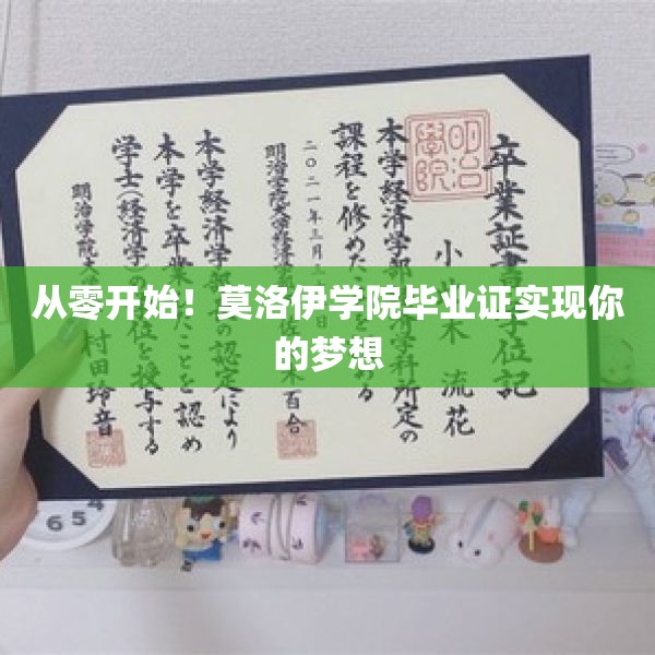 从零开始！莫洛伊学院毕业证实现你的梦想