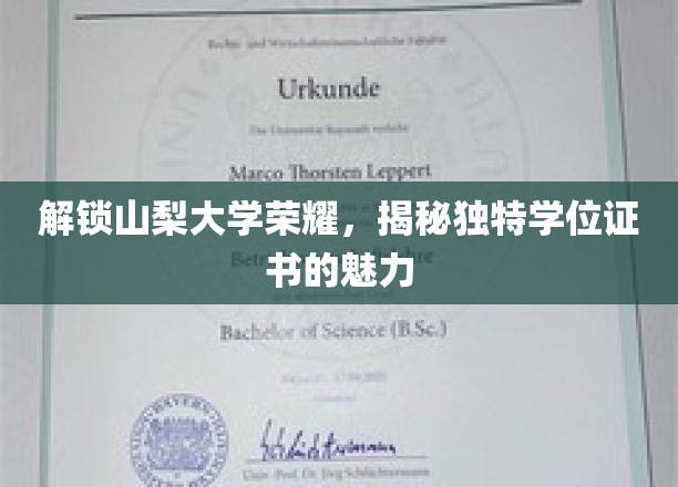 山梨大学学位证书，揭秘独特荣耀背后的奥秘