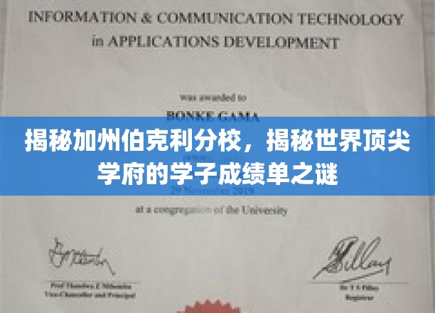 揭秘加州伯克利分校，揭秘世界顶尖学府的学子成绩单之谜