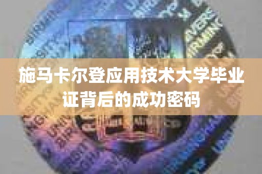 施马卡尔登应用技术大学毕业证背后的成功密码