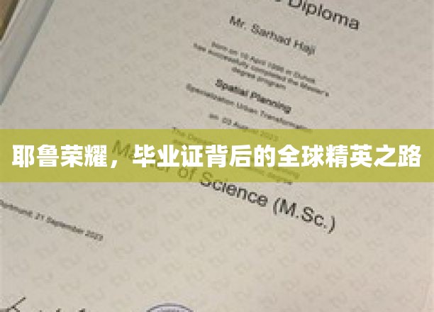 解码耶鲁传奇，揭秘毕业证背后的全球精英成长轨迹