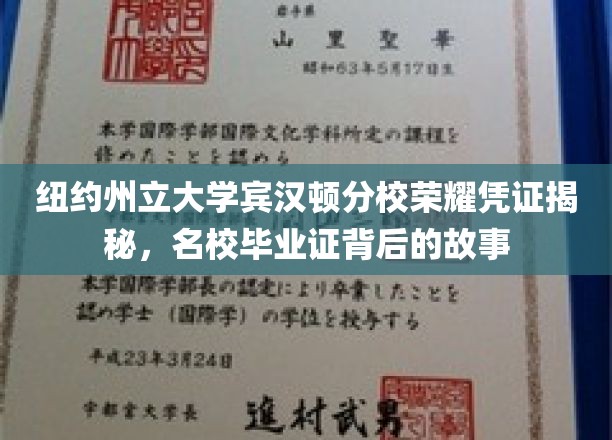 纽约州立大学宾汉顿分校荣耀凭证揭秘，名校毕业证背后的故事