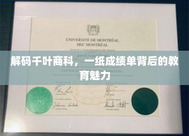 解码千叶商科，一纸成绩单背后的教育魅力