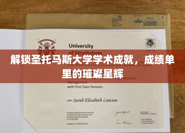 解锁圣托马斯大学学术成就，成绩单里的璀璨星辉
