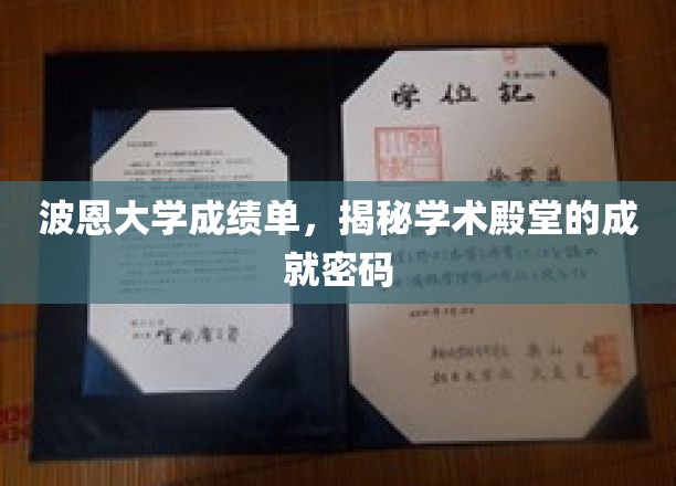 解锁波恩大学卓越背后的学术成就秘钥