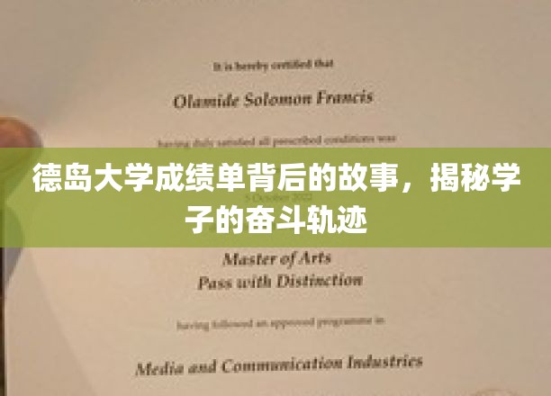 德岛学子砥砺前行，揭开成绩单背后的奋斗传奇