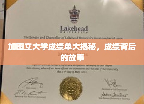 揭开加图立大学成绩单之谜，背后的真实故事