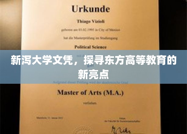 新泻大学文凭闪耀，揭开日本高等教育新篇章