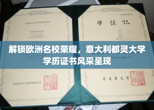意大利都灵大学学位证书，揭秘欧洲精英教育的魅力之光