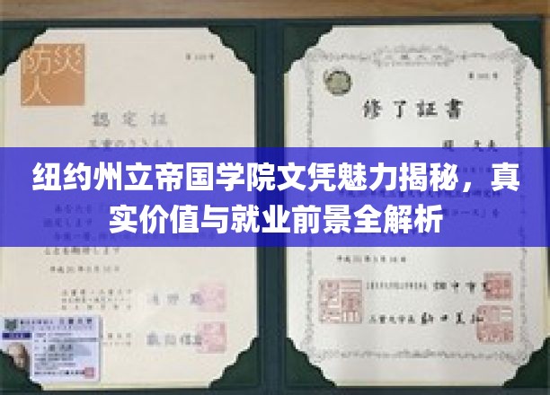 纽约州立帝国学院文凭魅力揭秘，真实价值与就业前景全解析