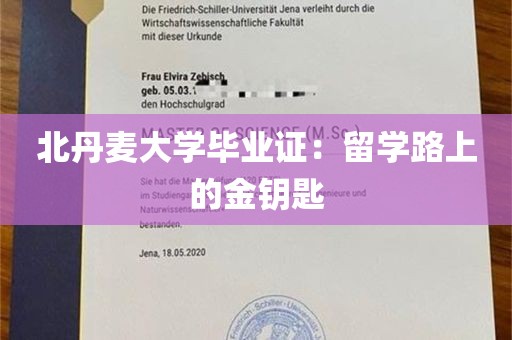 北丹麦大学毕业证：留学路上的金钥匙