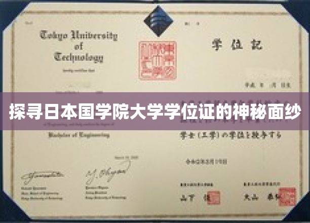 揭开日本国学院大学学位证背后的传奇之谜